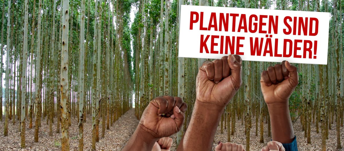 Collage Tag gegen Monokulturen - DE