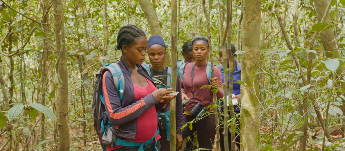 Eco-Guards im Regenwald in Liberia