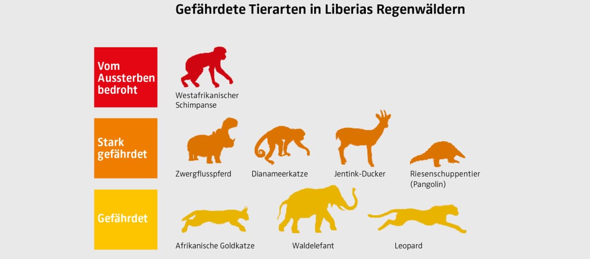 Grafik gefährdeter Tierarten in Liberia