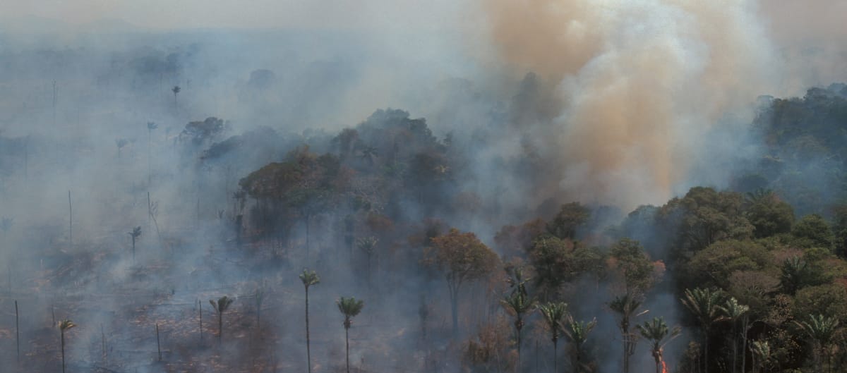 Luftaufnahme von brennendem Amazonas-Regenwald