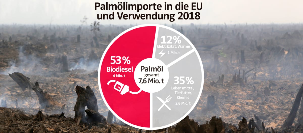 Palmölimporte in die EU und Verwendung 2018