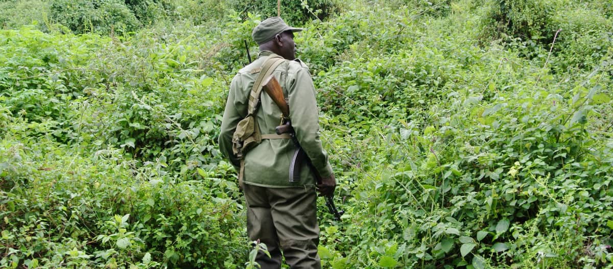 Bewaffneter Ranger im Virunga Nationalpark, DRC