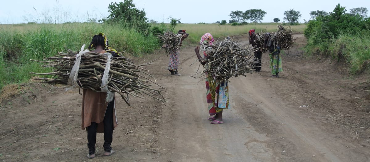 Frauen tragen Brennholz zum Dorf Vitshumbi