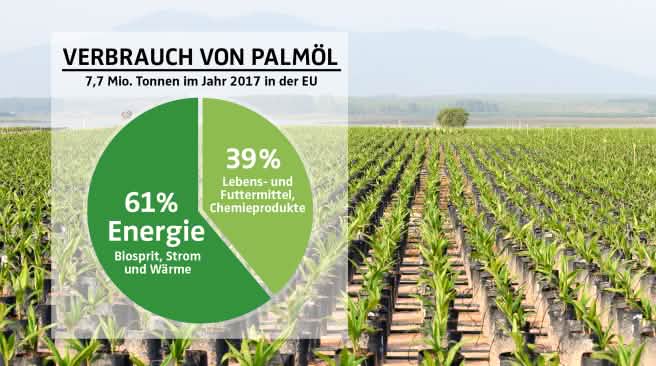 Palmölverwendung EU 2017 COLLAGE - Diagramm Palmölverwendung EU 2017 mit Palmölplantage als Hintergrund