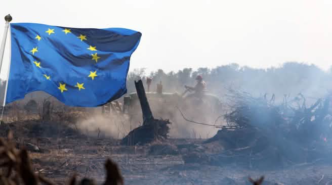 Soja, Palmöl, Papier: Wälder werden für den Export in die EU zerstört Tractor Clearing Forest Burn