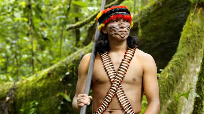 Der Amazonas-Regenwald beschert den indigenen Völkern alles, was sie zum Leben brauchen Ein mit Federn geschmückter und im Gesicht bemalter Indigener steht mit einem Blasrohr im Regenwald