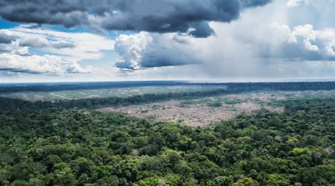 Luftaufnahme Urwälder in der Nähe des Amazonas-Dorfes Tamshiyacu in Peru