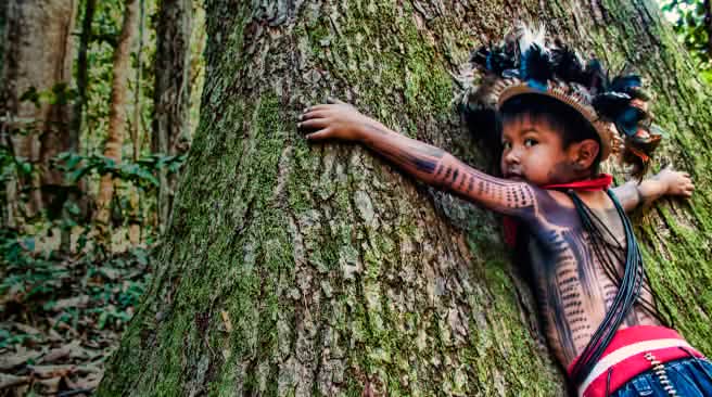 Kind aus dem Volk der Paiter Suruí Brasilien Ein am Körper bemaltes und mit Federschmuck ausgestattetes indigenes Kind umarmt einen riesigen Baumstamm