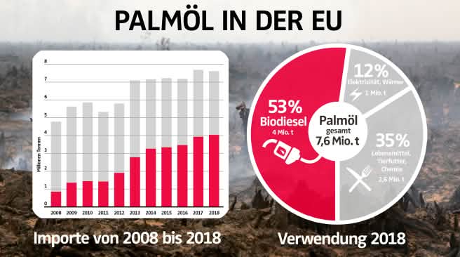 Palmöl in der EU: Importe und Verwendung 2018