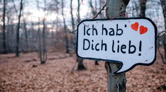 Umweltschützer wollen den Treburer Wald bei Frankfurt bewahren Treburer Wald Frankfurt Airport