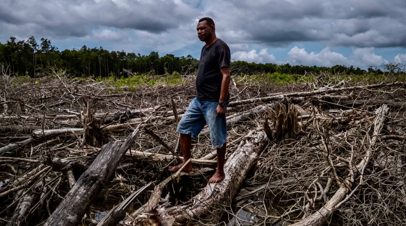 Mann im Kahlschlaggebiet in Wanam bei Merauke, Süd-Papua