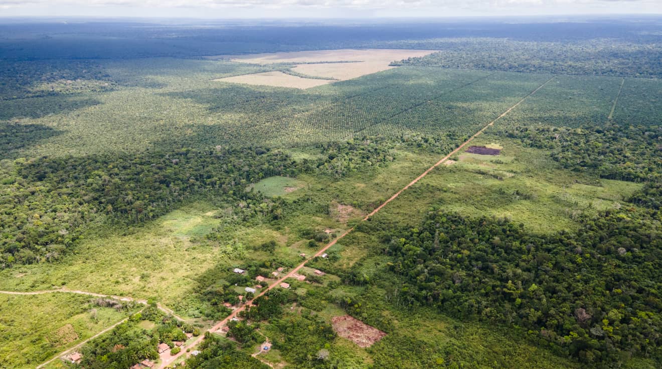 Luftaufnahme einer kleinen Ortschaft entlang einer schnurgeraden Piste, dahinter die in den Regenwald geschlagenen Ölpalm-Plantagen
