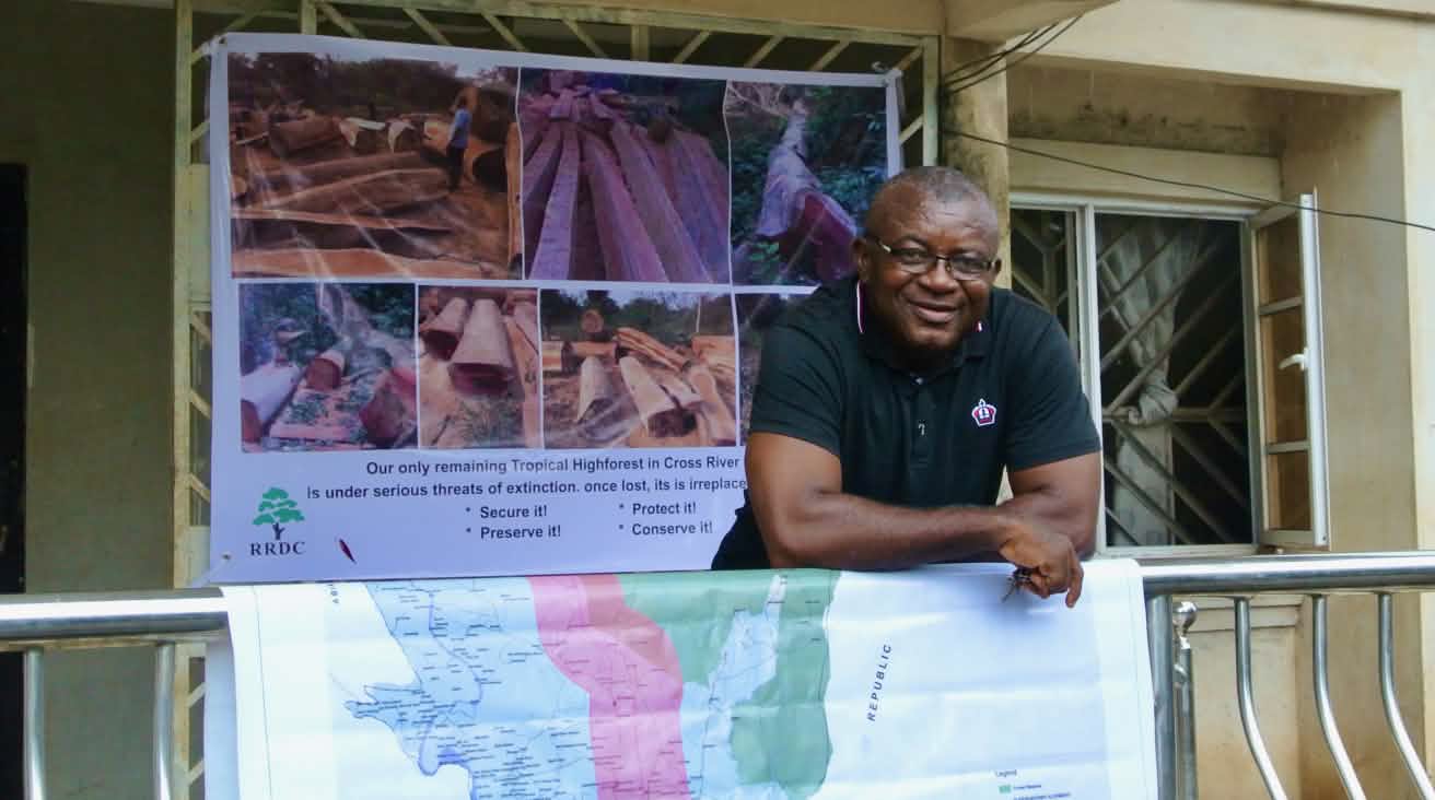 Odey Oyama Holzfäller, die in den Cross River Nationalpark eindringen