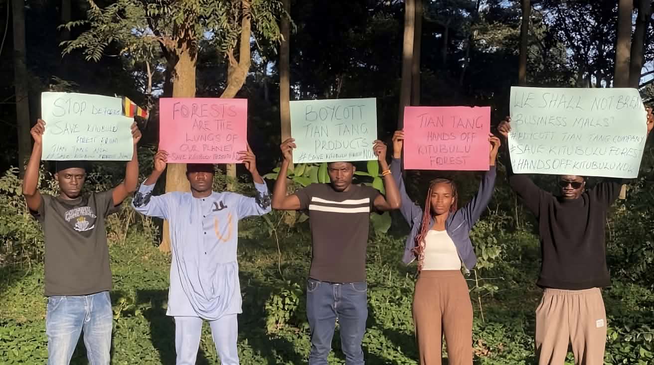 Fünf Demonstranten halten Plakate hoch, auf denen der Schutz des Kitubulu-Wald gefordert wird.