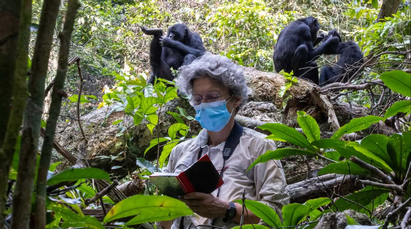 Prof. Dr. Barbara Fruth von Bonobo Alive