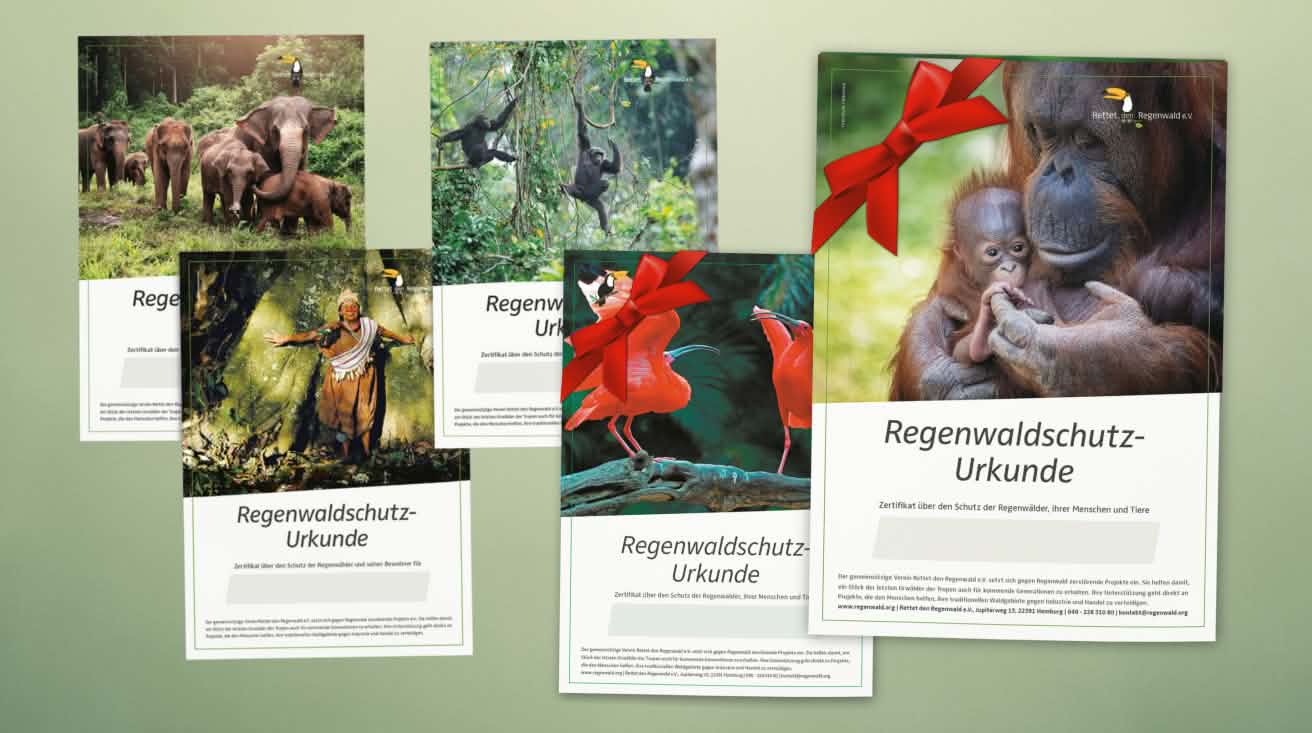 Auswahl von Spendenurkunden