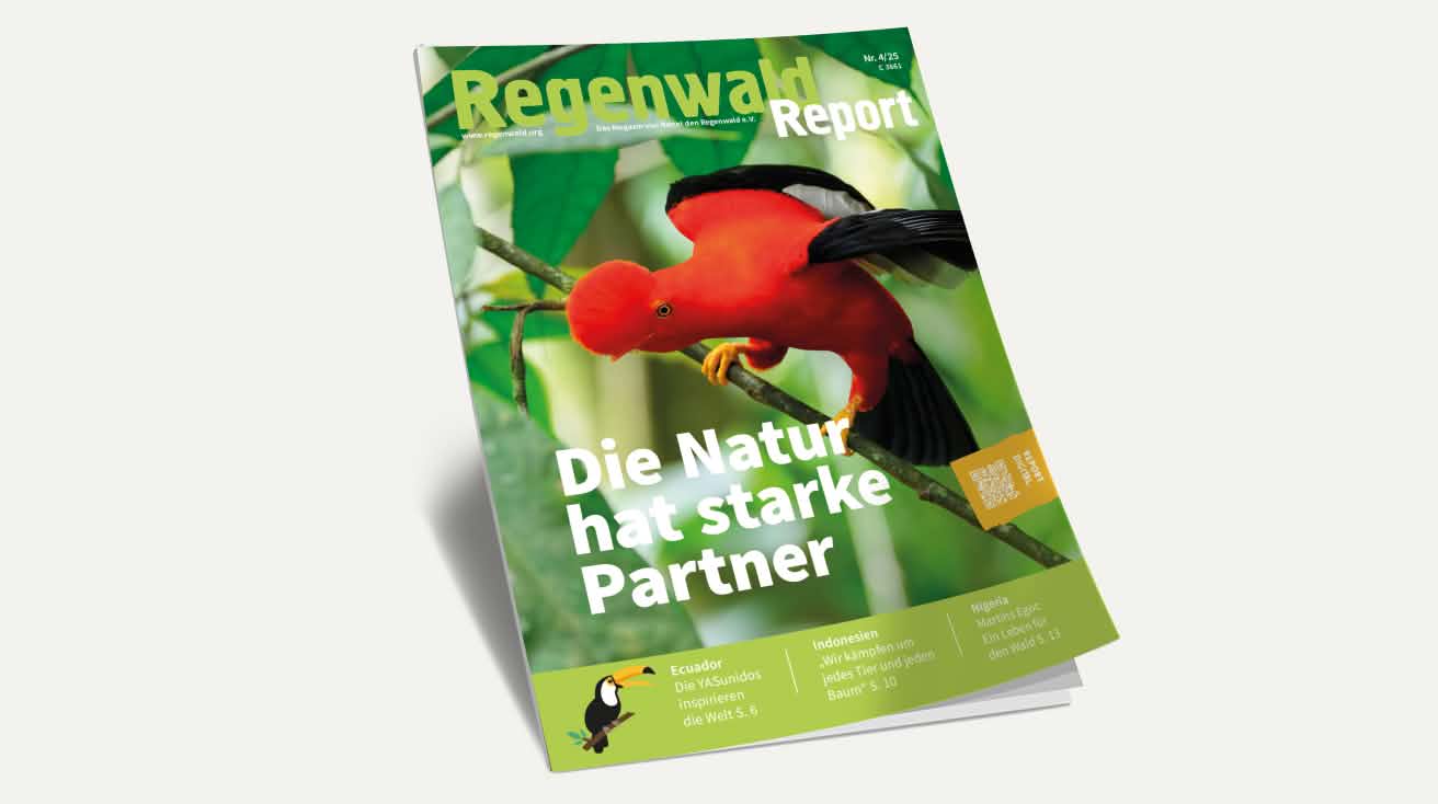 Titel Regenwald Report Nr.4 2025
