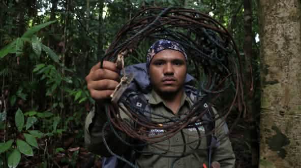 Ranger mit Schlingfalle im Leuser Nationalpark