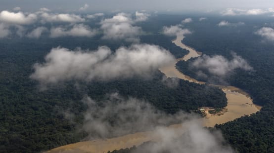 Luftaufnahme mit Wolken von einem sich durch einen Regenwald schlängelnden Fluss