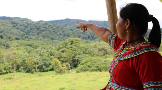Indigene Frau zeigt in den Regenwald