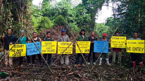 Aktivisten protestieren gegen die Ausbreitung einer Palmöl-Plantagen