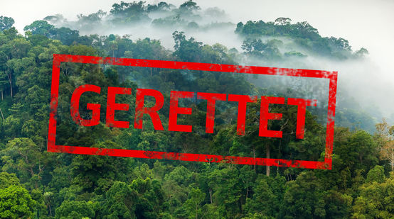 Wunderschöner Regenwald mit Text "GERETTET"