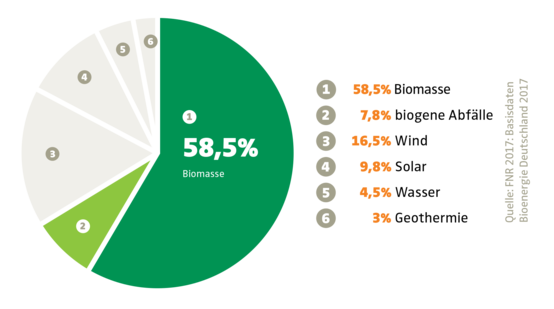 Anteil der Bioenergie bei den erneuerbaren Energien in der EU (2016)