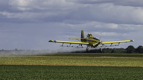 Ein Propellerflugzeug versprüht Pestizide aus der Luft über einem Soja-Feld