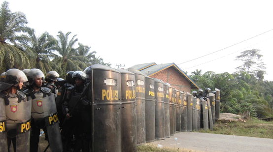 Indonesien: Polizei sichert Ölpalmplantage