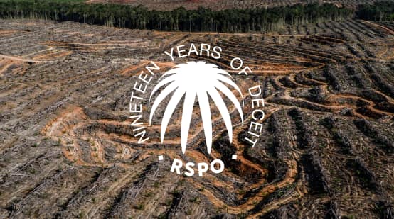 Collage mit RSPO Siegel auf einer abgeholzten Regenwaldfläche darauf steht ninteen years of deceit