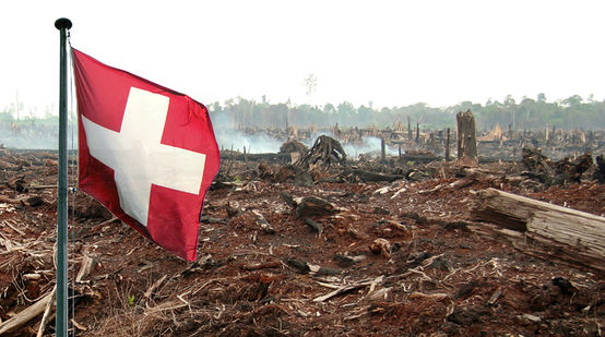 Schweizer Flagge verbrannter Wald