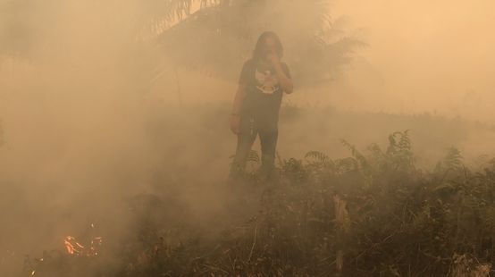 Brände beim Dorf Puding, Distrikt Muaro Jambi, Sumatra, September 2019