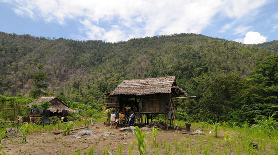 Menschen stehen vor einer Hütte im Wald
