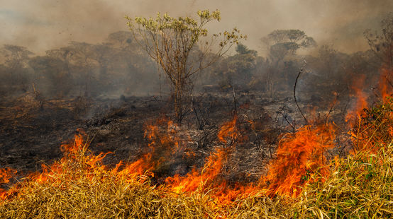 Waldbrand in Brasilien