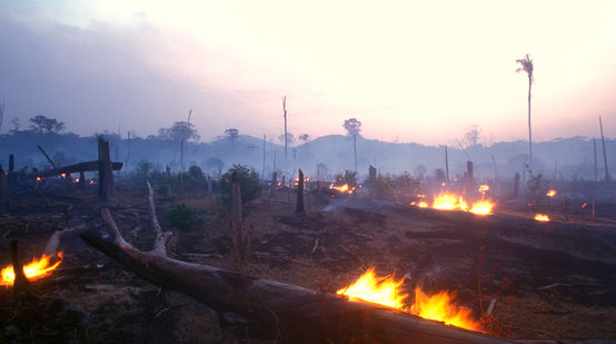 Brandrodung in Brasilien