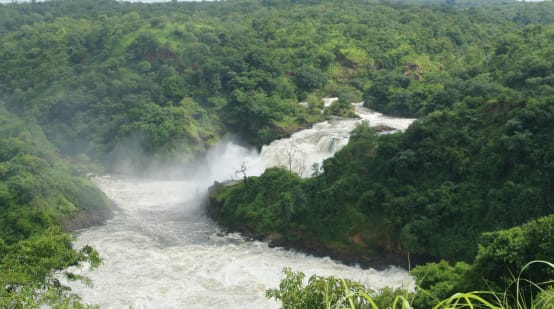 Ein weiß schäumender Wasserfall mitten im grünen Dschungel