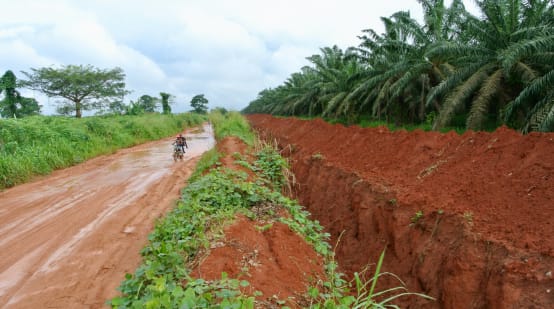 Graben um die Palmölplantage von Okomu Oil Palm in Nigeria