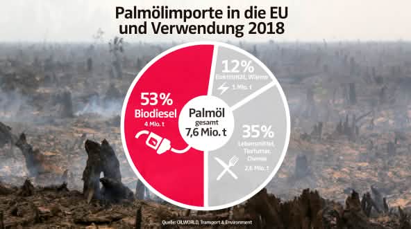 Palmölimporte in die EU und Verwendung 2018