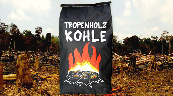 Collage aus Beutel mit Holzkohle auf abgebranntem Regenwald