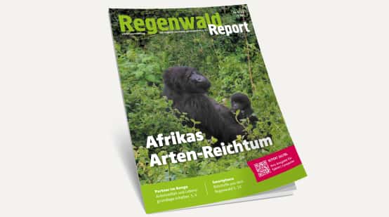 3D-Ansicht des Covers vom Regenwald Report 1/22