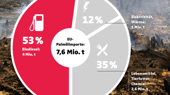 Grafik Palmöl in Report 3/19