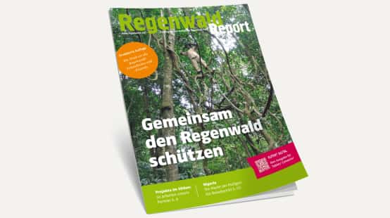 3D-Ansicht des Covers vom Regenwald Report 4/22