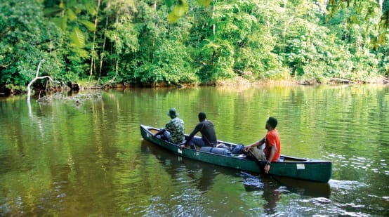 Fluss im Sapo-Nationalpark