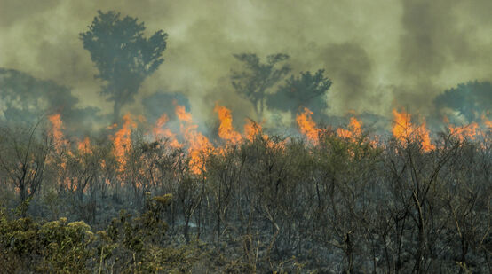 Feuer im Brasilianischen Regenwald