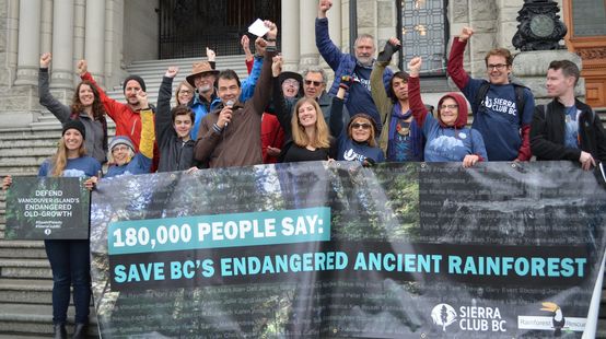 Aktivisten übergeben 180.000 Unterschriften gegen Rodungen auf Vancouver Island