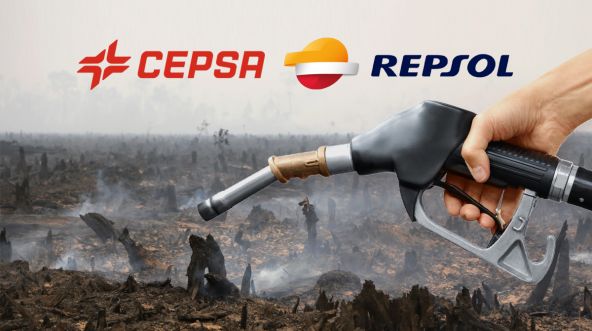 Spanien Palmöl Biosprit