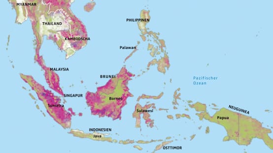 Südostasien Regenwaldrodung