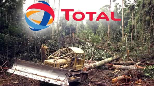 Total Regenwald Rodung