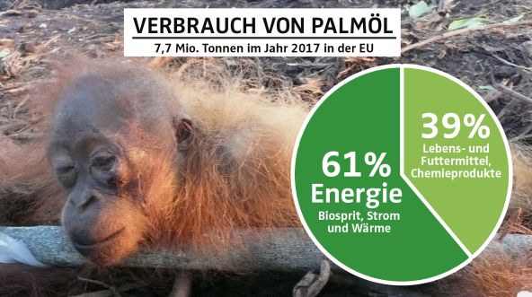 Collage - Palmölverwendung EU 2017 mit Gefesseltes Orang-Utan-Baby - DE