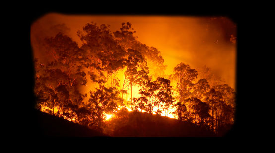 Waldbrand in Ofen